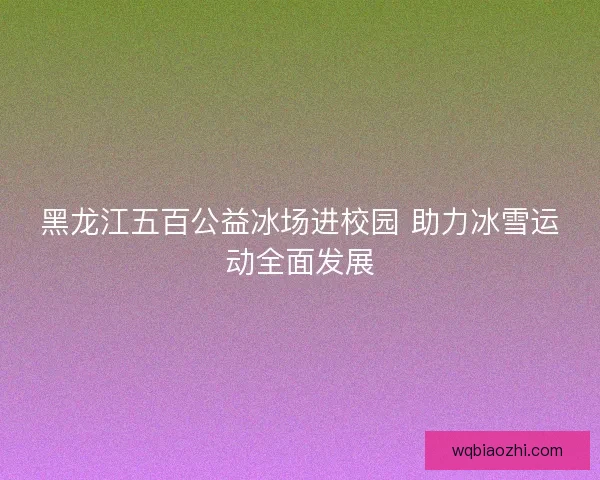 黑龙江五百公益冰场进校园 助力冰雪运动全面发展