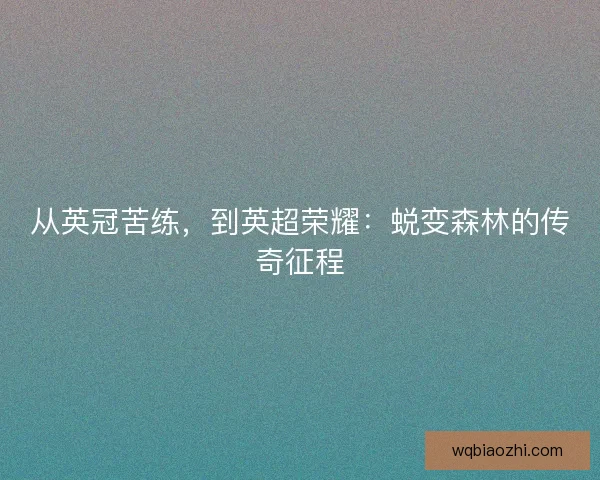 从英冠苦练，到英超荣耀：蜕变森林的传奇征程